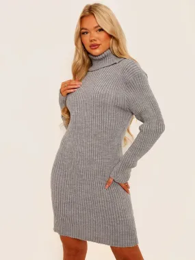 Charley Ribbed Knitted Roll Neck Bodycon Dress In Grey