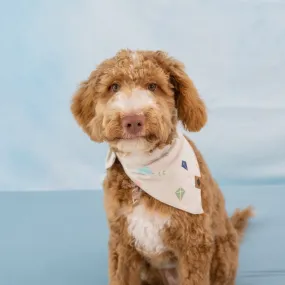 Dog Bandana in Kite