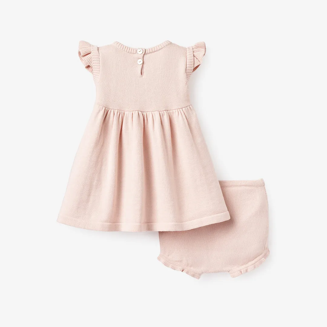 Garden Picnic Flutter Sleeve Knit Baby Dress