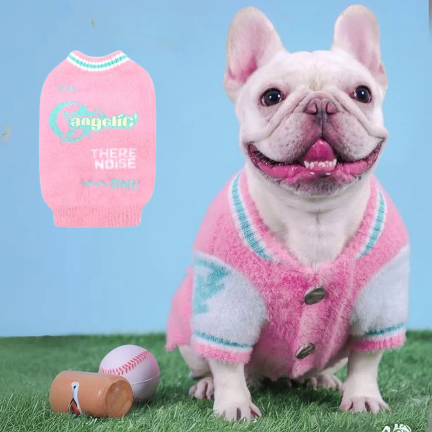 Sporty Frenchie Winter Sweater Blue and Pink Plush Varsity Style for Small Dogs