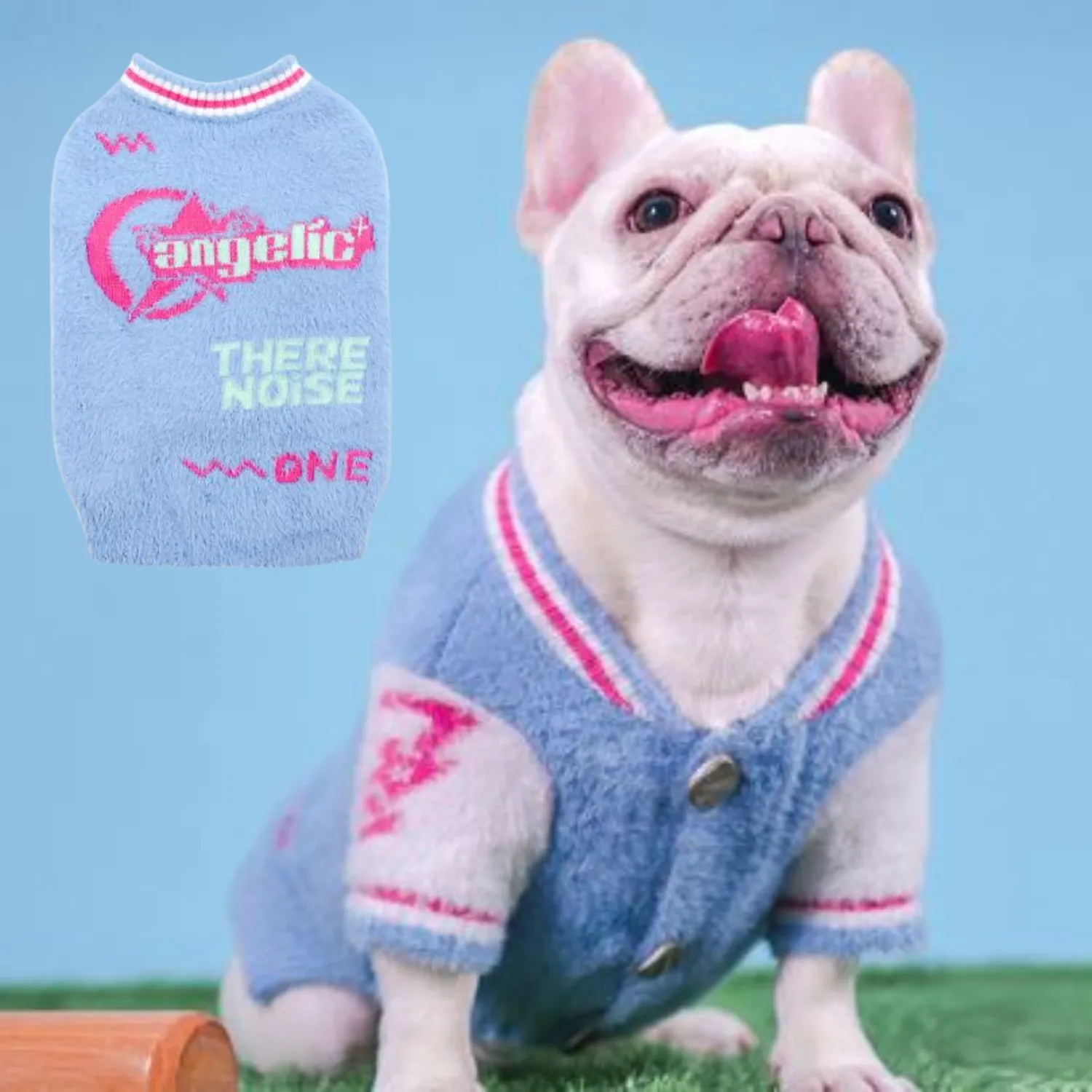 Sporty Frenchie Winter Sweater Blue and Pink Plush Varsity Style for Small Dogs