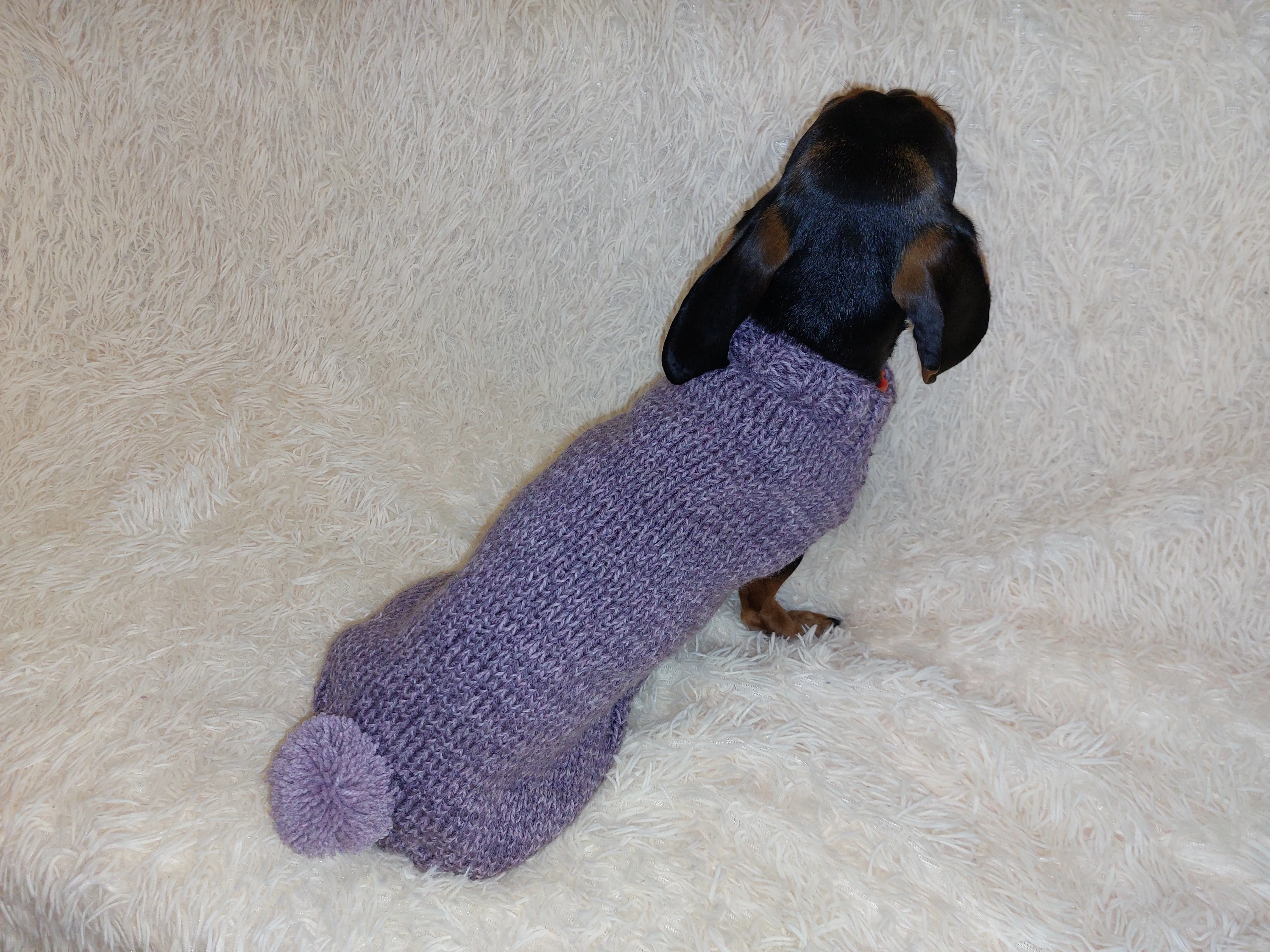 Sweater with pompom for dachshund puppy or small dog knitted of angora wool handmade.